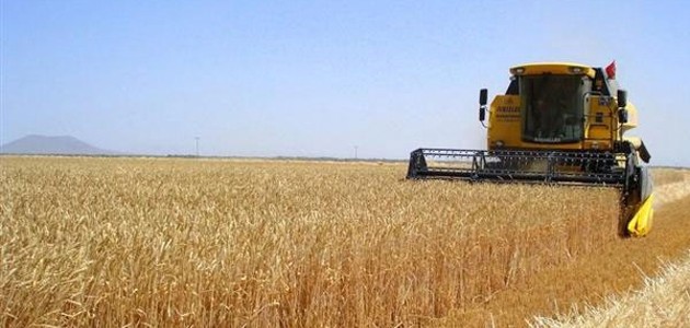 Konya'da hububat fiyatları