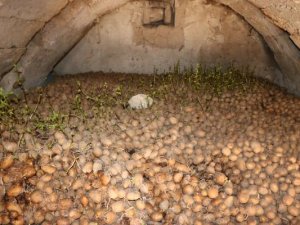 Biz 20 kuruşa satamadık