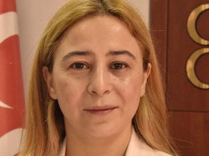 MHP'nin Meclisteki yeni yüzleri