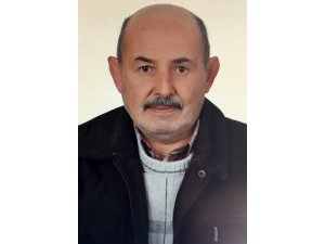 Kestiği ağacın dalı ölümüne neden oldu