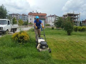 Park ve bahçelerde yoğun yaz mesaisi