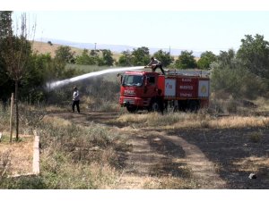 Elazığ'da buğday tarlasında yangın