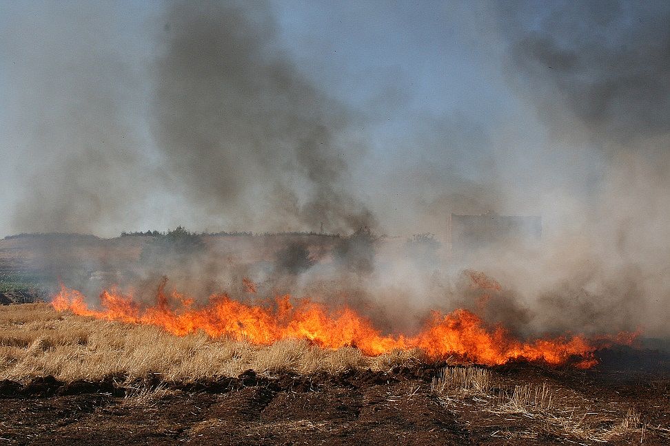 Konya'da anız yangını