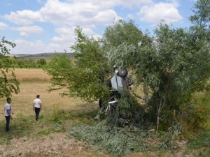 Konya'da otomobil ağaca çarptı: 6 yaralı