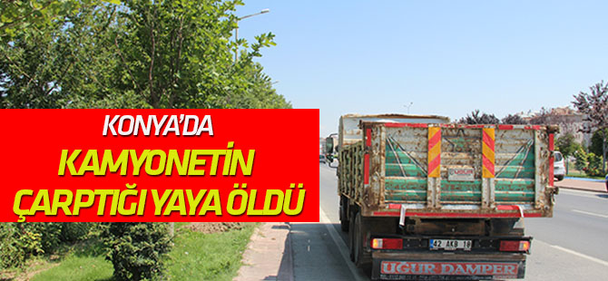 Konya'da kamyonetin çarptığı yaya öldü