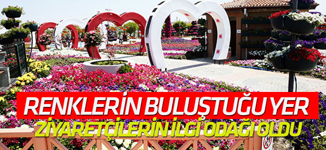 Renklerin buluştuğu yer; Selçuklu Çiçek Bahçesi