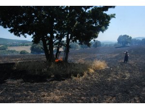 Çanakkale'de tarla yangını