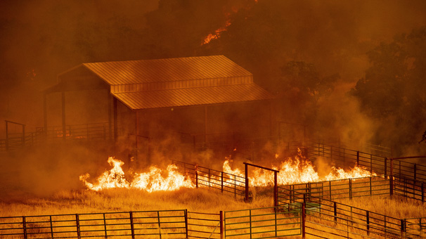 California'da orman yangınları durdurulamıyor