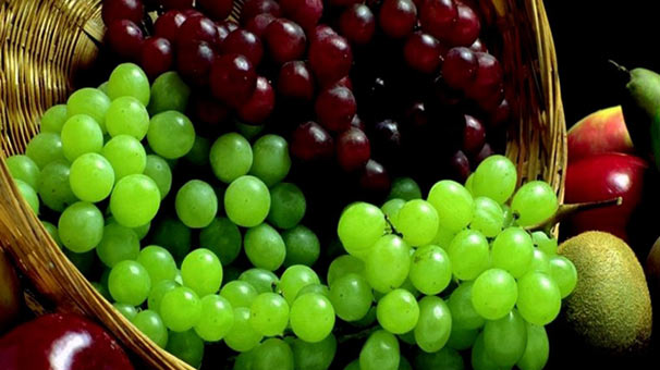 Sofralık üzümde kesim ve ihraç tarihleri belli oldu