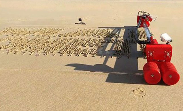 Plajda evlenme teklifi için yeni buluş: Kum yazıcısı