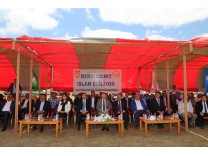 Sivas'ta mera ıslahı projesi