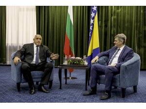 "Bosna Hersek, AB için son derece önemli"