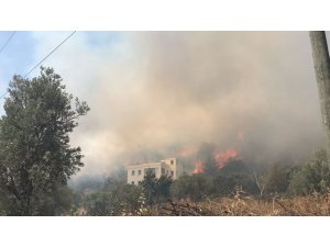 Bodrum'da otluk ve makilik alanda yangın