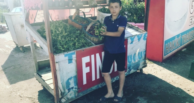 Yaş fındığın kilosu 15 TL