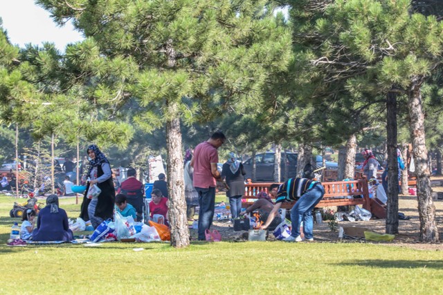 Vatandaşların yeni gözdesi; Dutlu Koruluğu