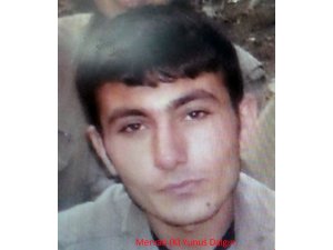 Tunceli'deki terör operasyonu