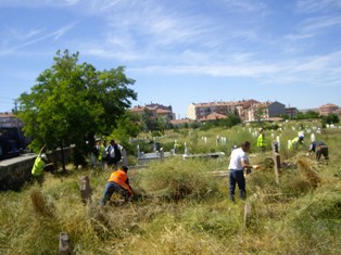 Mezarlıktaki otlar temizleniyor