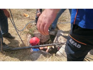 Kuyuya düşen danayı AFAD ekipleri kurtardı