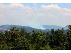 Suriye sınırında orman yangını