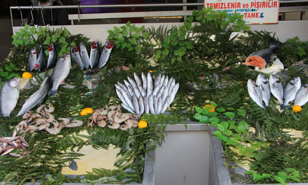 Hamilelikte balık tüketimine dikkat