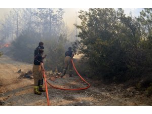 GÜNCELLEME İzmir'de orman yangını