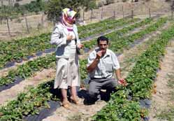 Ünver Yaylacık projesini inceledi