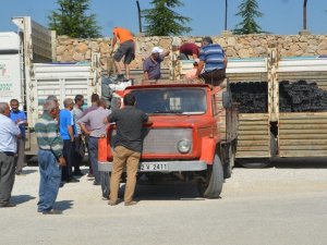 Ereğli'de tarımsal destekleme kapsamında aparatlar çiftçilere dağıtıldı