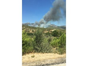 GÜNCELLEME - Mersin'de orman yangını