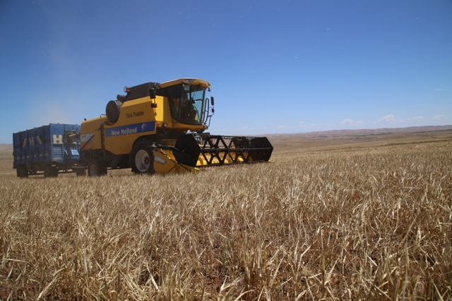 Tarım- ÜFE Haziran ayında %0,08 arttı