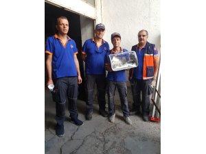 Su kuyusuna düşen kedi yavrusunu AFAD ekipleri kurtardı