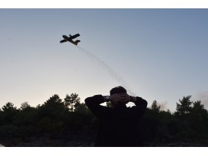 İzmir'deki orman yangını