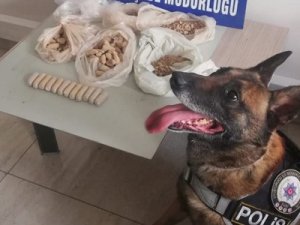 Konya'da uyuşturucu operasyonu