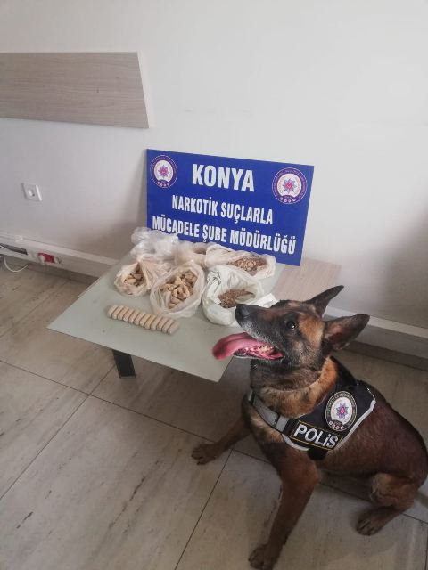 ‘Oscar’ yine yakaladı