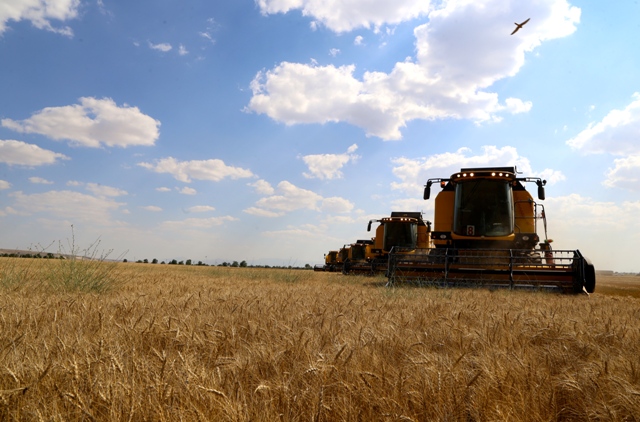 "Türkiye tarımsal hasılada Avrupa birincisi"