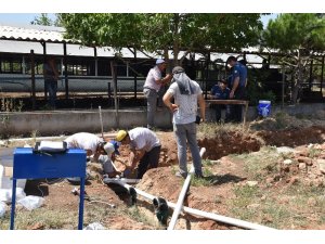 Akdeniz Üniversitesinde vana hırsızlığı