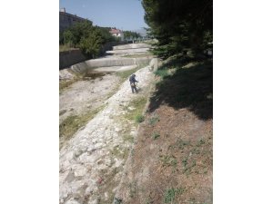 Gali çayında çevre temizliği