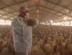 Türkiye'nin komik siyasetçisi VİDEO