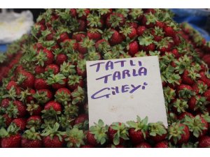 Çileğin fiyatı el yakıyor