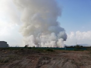Osmaniye’deki yangın sürüyor