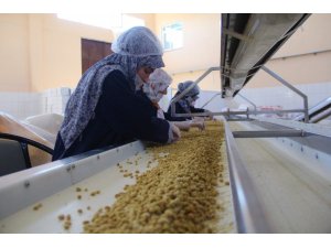 Dede mesleğini büyüterek fabrika kurdu