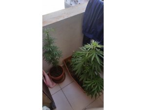 Kuşadası’nda uyuşturucu operasyonu