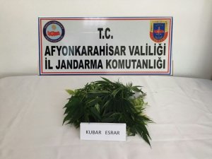 Jandarma ekiplerinden uyuşturucu ve tarihi eser operasyonu