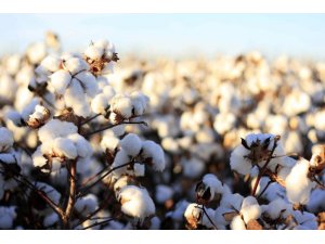 Kocabaş; “Borsadaki fiyat ilan yöntemi değişmeli”