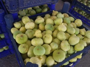 İncir üreticisini güldürüyor