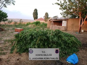 Konya'da jandarmadan uyuşturucu operasyonu