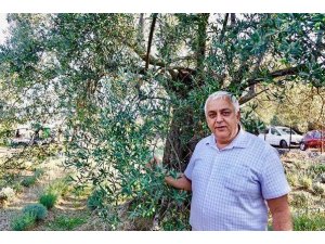 Ziraat Odasında “Mahsulünüze sahip çıkın” uyarısı