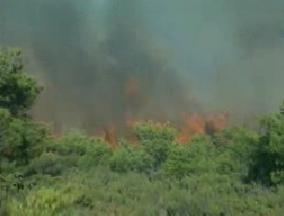 Foça'da orman yangını VİDEO
