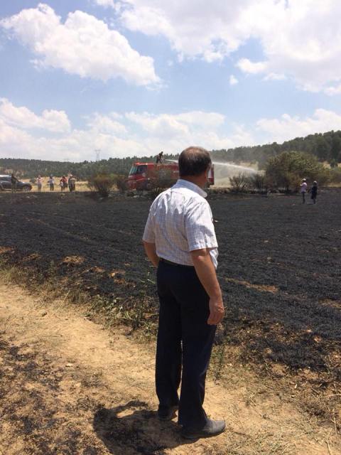 Başkan Ağralı, yanan arazileri inceledi