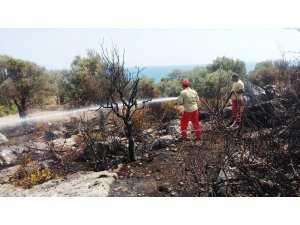 Antalya’da antik kent yakınında çıkan yangın korkuttu