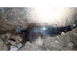 Kayıp şahsın iş ortağı tarafından öldürüldüğü ortaya çıktı